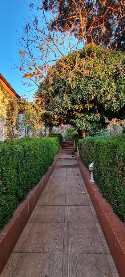 Vila Cu Ciubar & Jacuzzi - Sunset Hill House Cuvin Dış mekan fotoğraf